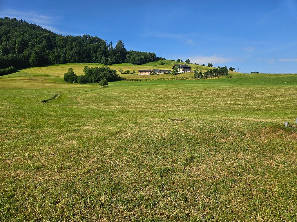 Rossfeld (229).jpg